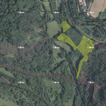 2,23 ha lesních pozemků v k.ú. Malá Veleň